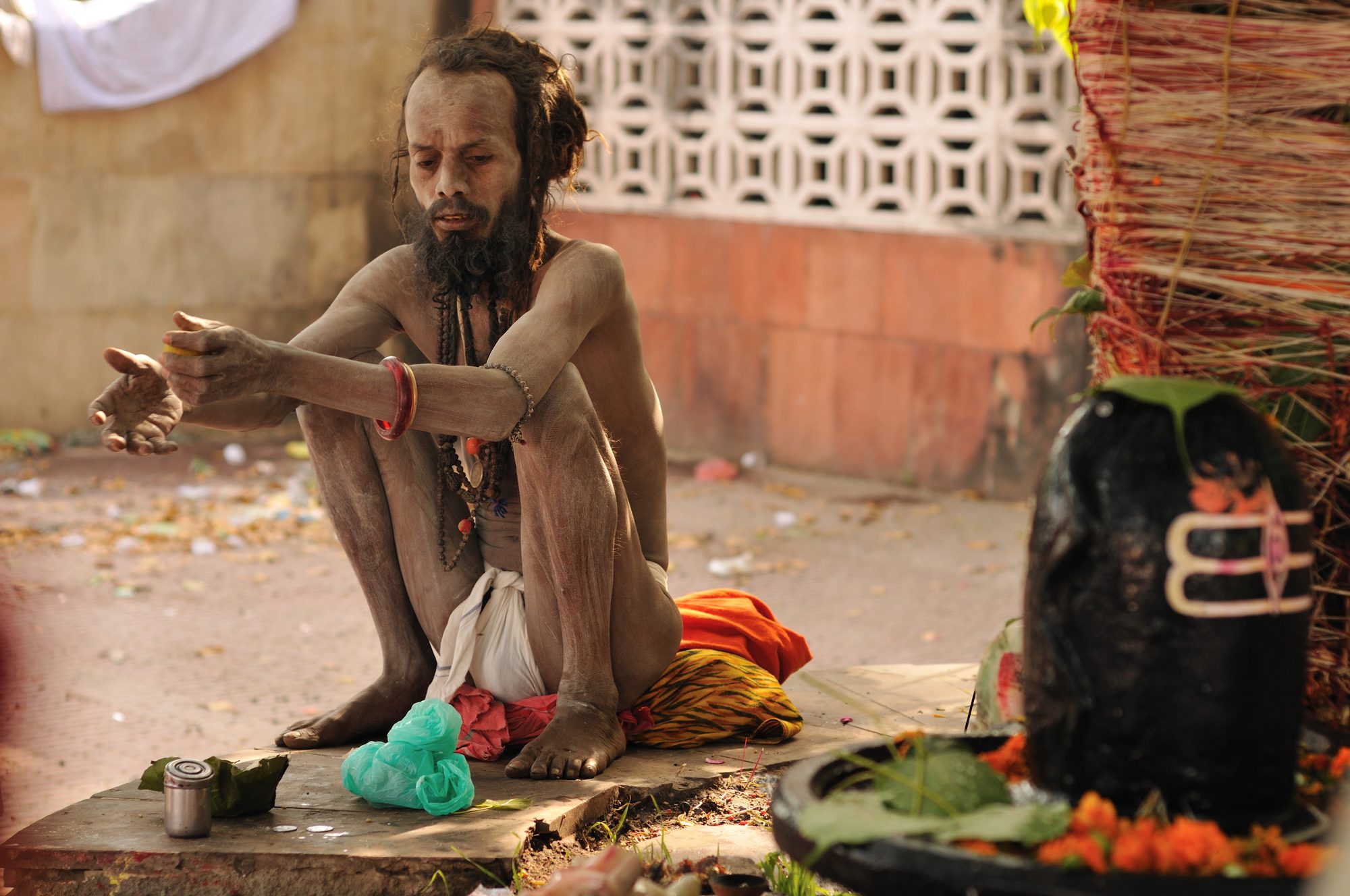 Amrit Nectar of Immortality